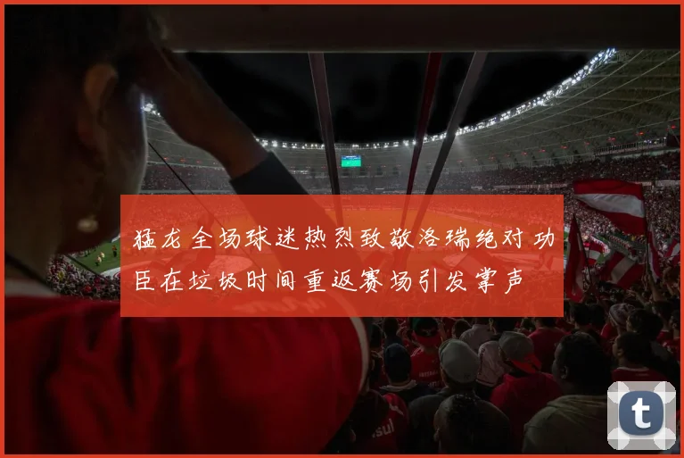 猛龙全场球迷热烈致敬洛瑞绝对功臣在垃圾时间重返赛场引发掌声