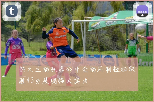 热火主场狂虐公牛全场压制轻松取胜43分展现强大实力